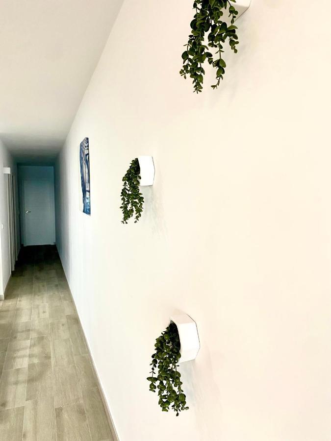 Appartamento Blue House 1ª Linea Playa Torrevieja Esterno foto