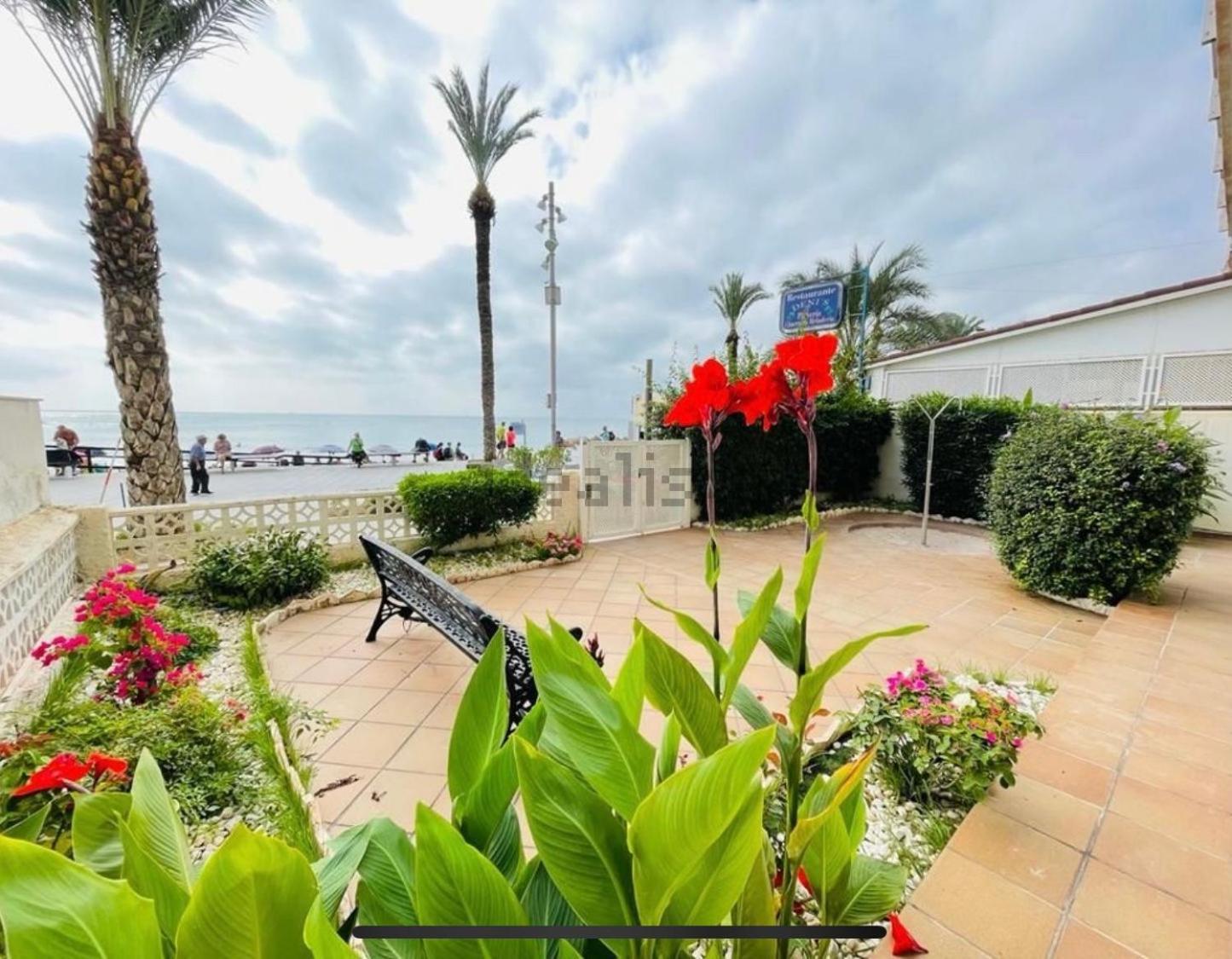 Appartamento Blue House 1ª Linea Playa Torrevieja Esterno foto
